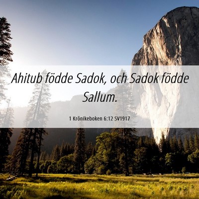 Picture 06 - 1 Krönikeboken 6:12 SV1917 - Ahitub födde Sadok, och Sadok födde - Bible Verse Picture