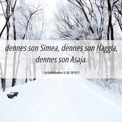 Picture 06 - 1 Krönikeboken 6:30 SV1917 - dennes son Simea, dennes son Haggia, dennes son - Bible Verse Picture