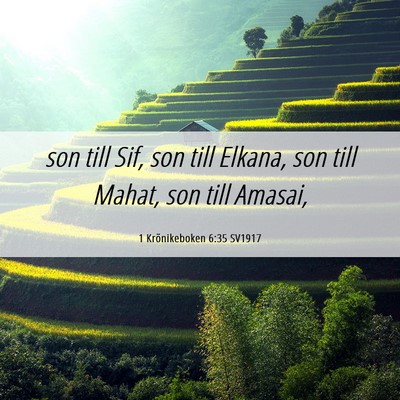 Picture 06 - 1 Krönikeboken 6:35 SV1917 - son till Sif, son till Elkana, son till Mahat, - Bible Verse Picture