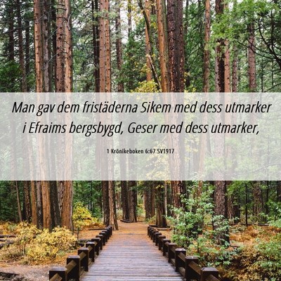 Picture 06 - 1 Krönikeboken 6:67 SV1917 - Man gav dem fristäderna Sikem med dess utmarker - Bible Verse Picture