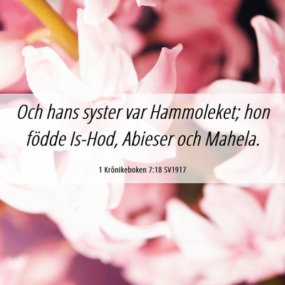 Picture 06 - 1 Krönikeboken 7:18 SV1917 - Och hans syster var Hammoleket; hon födde - Bible Verse Picture