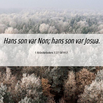 Picture 06 - 1 Krönikeboken 7:27 SV1917 - Hans son var Non; hans son var - Bible Verse Picture