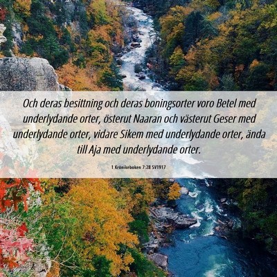 Picture 06 - 1 Krönikeboken 7:28 SV1917 - Och deras besittning och deras boningsorter voro - Bible Verse Picture