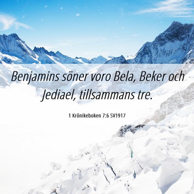 Picture 06 - 1 Krönikeboken 7:6 SV1917 - Benjamins söner voro Bela, Beker och Jediael, - Bible Verse Picture