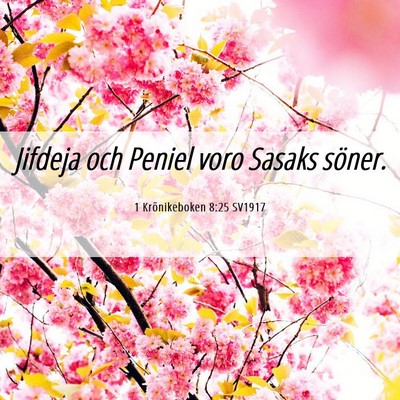 Picture 06 - 1 Krönikeboken 8:25 SV1917 - Jifdeja och Peniel voro Sasaks - Bible Verse Picture