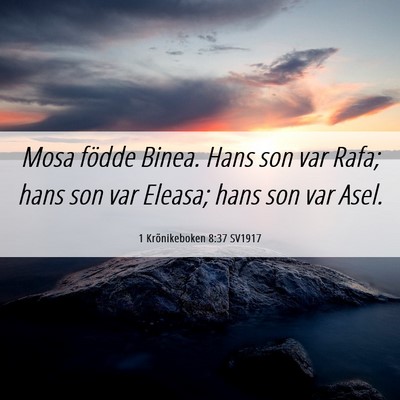 Picture 06 - 1 Krönikeboken 8:37 SV1917 - Mosa födde Binea. Hans son var Rafa; hans son - Bible Verse Picture