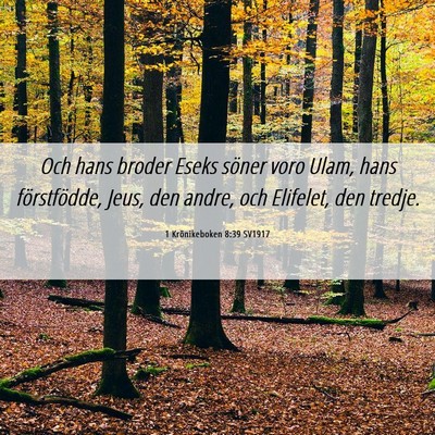 Picture 06 - 1 Krönikeboken 8:39 SV1917 - Och hans broder Eseks söner voro Ulam, hans - Bible Verse Picture