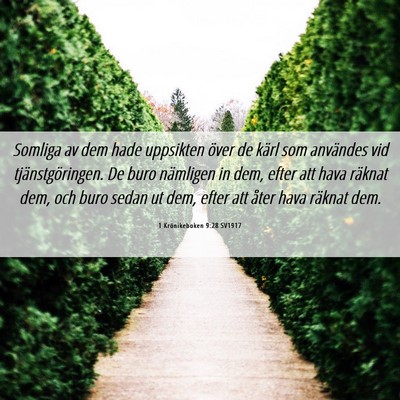 Picture 06 - 1 Krönikeboken 9:28 SV1917 - Somliga av dem hade uppsikten över de kärl som - Bible Verse Picture