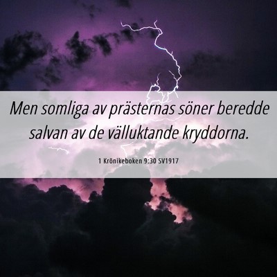 Picture 06 - 1 Krönikeboken 9:30 SV1917 - Men somliga av prästernas söner beredde salvan - Bible Verse Picture