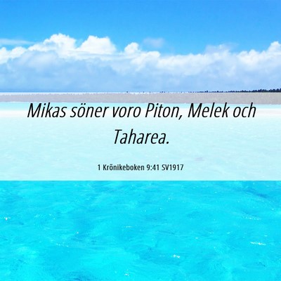 Picture 06 - 1 Krönikeboken 9:41 SV1917 - Mikas söner voro Piton, Melek och - Bible Verse Picture