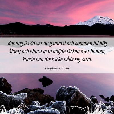Picture 06 - 1 Kungaboken 1:1 SV1917 - Konung David var nu gammal och kommen till hög - Bible Verse Picture