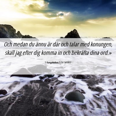 Picture 06 - 1 Kungaboken 1:14 SV1917 - Och medan du ännu är där och talar med - Bible Verse Picture