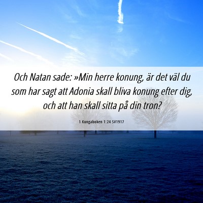 Picture 06 - 1 Kungaboken 1:24 SV1917 - Och Natan sade: »Min herre konung, är det väl - Bible Verse Picture