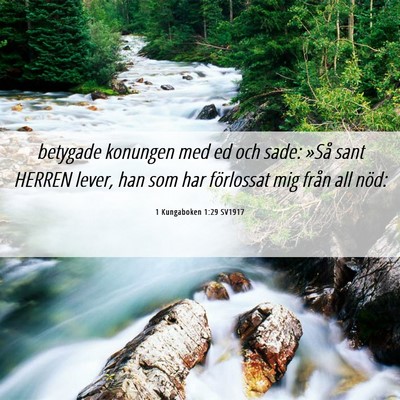 Picture 06 - 1 Kungaboken 1:29 SV1917 - betygade konungen med ed och sade: »Så sant - Bible Verse Picture