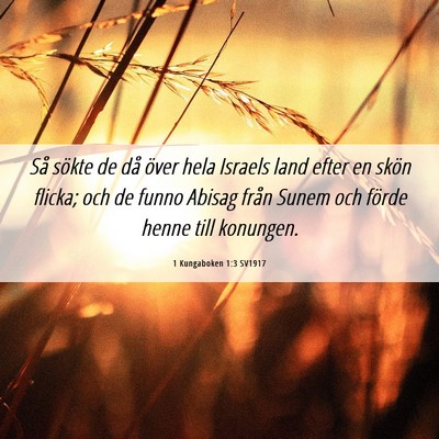 Picture 06 - 1 Kungaboken 1:3 SV1917 - Så sökte de då över hela Israels land efter - Bible Verse Picture