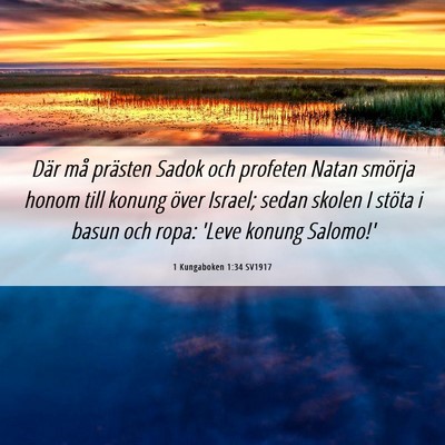 Picture 06 - 1 Kungaboken 1:34 SV1917 - Där må prästen Sadok och profeten Natan - Bible Verse Picture