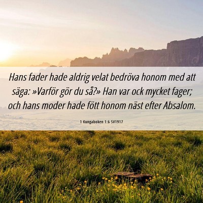 Picture 06 - 1 Kungaboken 1:6 SV1917 - Hans fader hade aldrig velat bedröva honom med - Bible Verse Picture