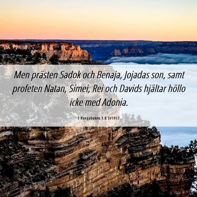 Picture 06 - 1 Kungaboken 1:8 SV1917 - Men prästen Sadok och Benaja, Jojadas son, samt - Bible Verse Picture
