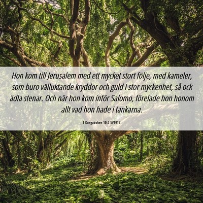 Picture 06 - 1 Kungaboken 10:2 SV1917 - Hon kom till Jerusalem med ett mycket stort - Bible Verse Picture