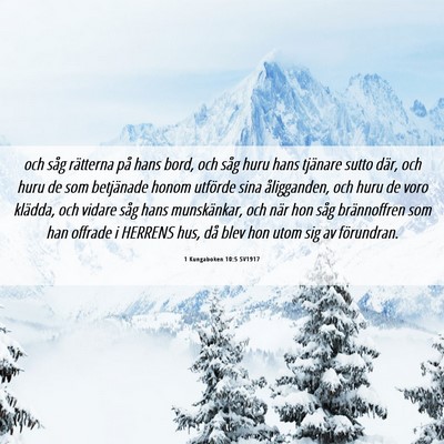 Picture 06 - 1 Kungaboken 10:5 SV1917 - och såg rätterna på hans bord, och såg huru - Bible Verse Picture
