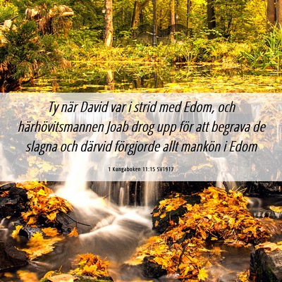 Picture 06 - 1 Kungaboken 11:15 SV1917 - Ty när David var i strid med Edom, och - Bible Verse Picture