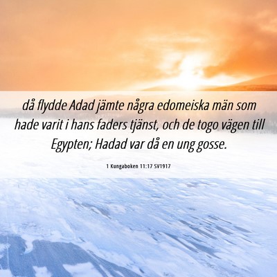 Picture 06 - 1 Kungaboken 11:17 SV1917 - då flydde Adad jämte några edomeiska män som - Bible Verse Picture