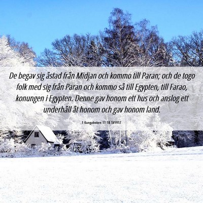 Picture 06 - 1 Kungaboken 11:18 SV1917 - De begav sig åstad från Midjan och kommo till - Bible Verse Picture