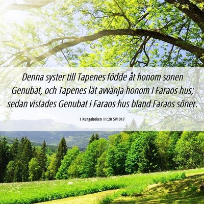 Picture 06 - 1 Kungaboken 11:20 SV1917 - Denna syster till Tapenes födde åt honom sonen - Bible Verse Picture