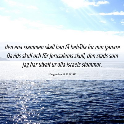Picture 06 - 1 Kungaboken 11:32 SV1917 - den ena stammen skall han få behålla för min - Bible Verse Picture