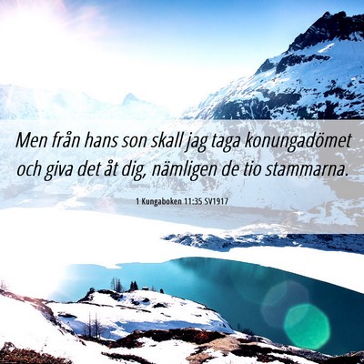 Picture 06 - 1 Kungaboken 11:35 SV1917 - Men från hans son skall jag taga konungadömet - Bible Verse Picture