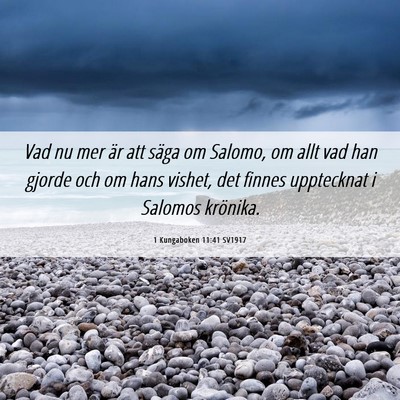 Picture 06 - 1 Kungaboken 11:41 SV1917 - Vad nu mer är att säga om Salomo, om allt vad - Bible Verse Picture