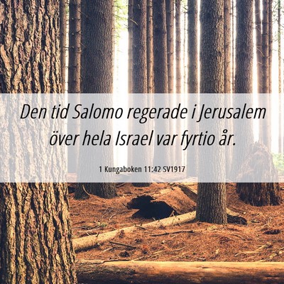 Picture 06 - 1 Kungaboken 11:42 SV1917 - Den tid Salomo regerade i Jerusalem över hela - Bible Verse Picture
