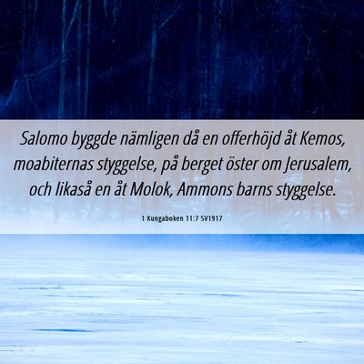 Picture 06 - 1 Kungaboken 11:7 SV1917 - Salomo byggde nämligen då en offerhöjd åt - Bible Verse Picture