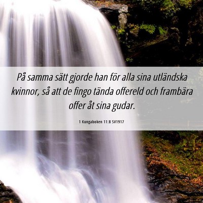 Picture 06 - 1 Kungaboken 11:8 SV1917 - På samma sätt gjorde han för alla sina - Bible Verse Picture