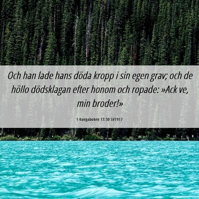 Picture 06 - 1 Kungaboken 13:30 SV1917 - Och han lade hans döda kropp i sin egen grav; - Bible Verse Picture