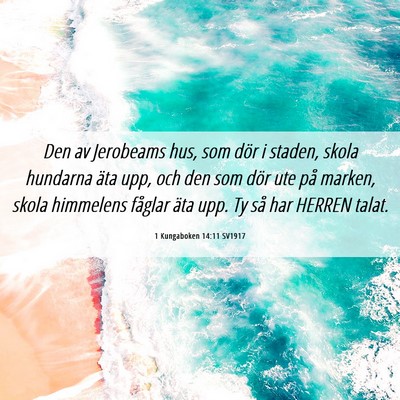 Picture 06 - 1 Kungaboken 14:11 SV1917 - Den av Jerobeams hus, som dör i staden, skola - Bible Verse Picture