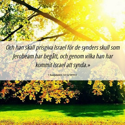Picture 06 - 1 Kungaboken 14:16 SV1917 - Och han skall prisgiva Israel för de synders - Bible Verse Picture