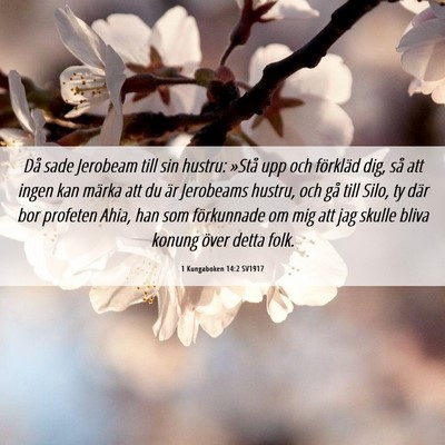 Picture 06 - 1 Kungaboken 14:2 SV1917 - Då sade Jerobeam till sin hustru: »Stå upp och - Bible Verse Picture
