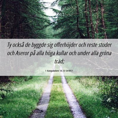 Picture 06 - 1 Kungaboken 14:23 SV1917 - Ty också de byggde sig offerhöjder och reste - Bible Verse Picture