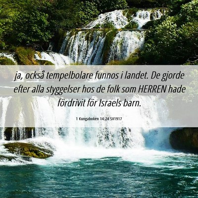 Picture 06 - 1 Kungaboken 14:24 SV1917 - ja, också tempelbolare funnos i landet. De - Bible Verse Picture