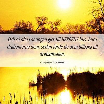 Picture 06 - 1 Kungaboken 14:28 SV1917 - Och så ofta konungen gick till HERRENS hus, buro - Bible Verse Picture