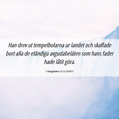 Picture 06 - 1 Kungaboken 15:12 SV1917 - Han drev ut tempelbolarna ur landet och skaffade - Bible Verse Picture
