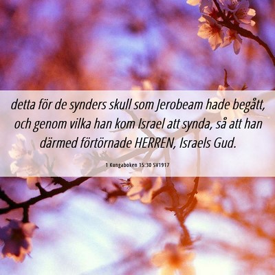Picture 06 - 1 Kungaboken 15:30 SV1917 - detta för de synders skull som Jerobeam hade - Bible Verse Picture