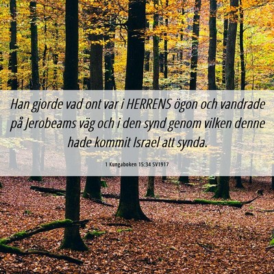 Picture 06 - 1 Kungaboken 15:34 SV1917 - Han gjorde vad ont var i HERRENS ögon och - Bible Verse Picture