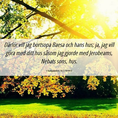 Picture 06 - 1 Kungaboken 16:3 SV1917 - Därför vill jag bortsopa Baesa och hans hus; - Bible Verse Picture