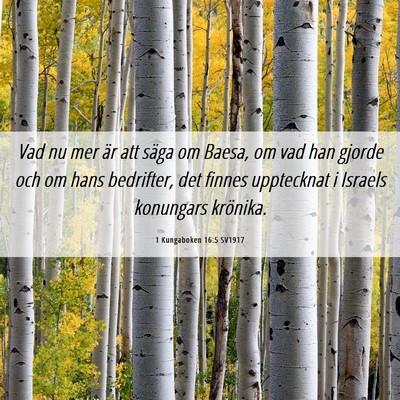Picture 06 - 1 Kungaboken 16:5 SV1917 - Vad nu mer är att säga om Baesa, om vad han - Bible Verse Picture