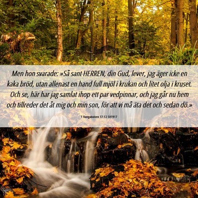 Picture 06 - 1 Kungaboken 17:12 SV1917 - Men hon svarade: »Så sant HERREN, din Gud, - Bible Verse Picture
