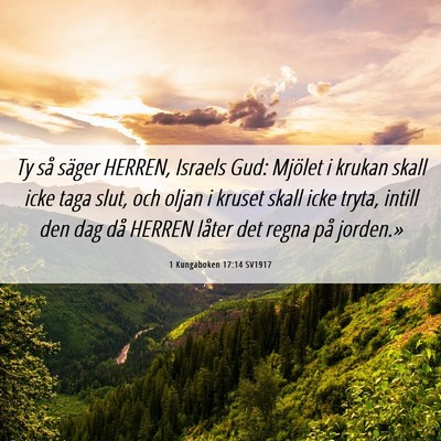 Picture 06 - 1 Kungaboken 17:14 SV1917 - Ty så säger HERREN, Israels Gud: Mjölet i - Bible Verse Picture