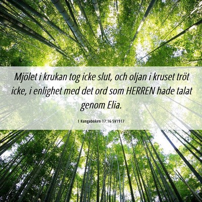 Picture 06 - 1 Kungaboken 17:16 SV1917 - Mjölet i krukan tog icke slut, och oljan i - Bible Verse Picture