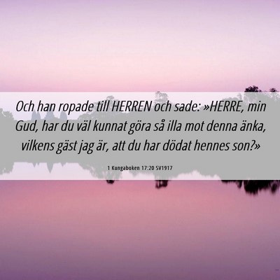 Picture 06 - 1 Kungaboken 17:20 SV1917 - Och han ropade till HERREN och sade: »HERRE, min - Bible Verse Picture